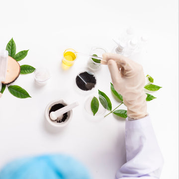 La <em>storia</em> di Circular Pharma